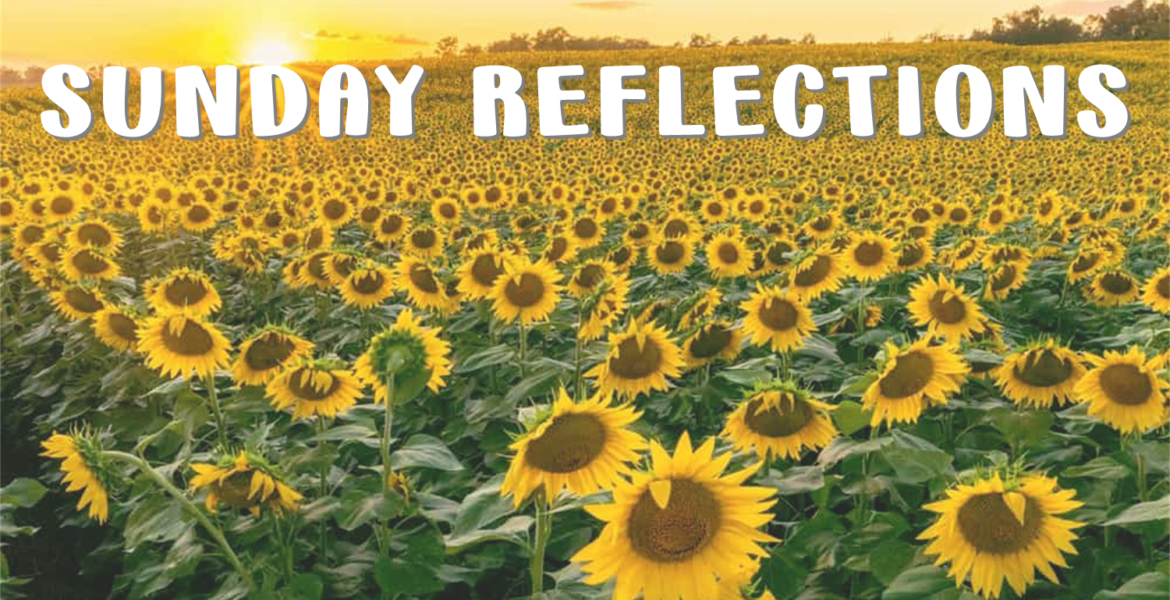 SUNDAY REFLECTION MAY 14/15